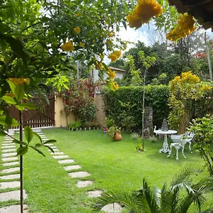 https://casa-maravilhosa-no-centro-de-arraial-dajuda.hotelsportoseguro.com